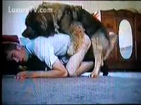 [ Beastiality XXX Tube ] Doggy on a man